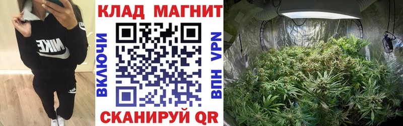 Где купить наркоту Новая Усмань Канабис КОКАИН А ПВП ГАШ