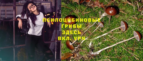 спайс Абдулино