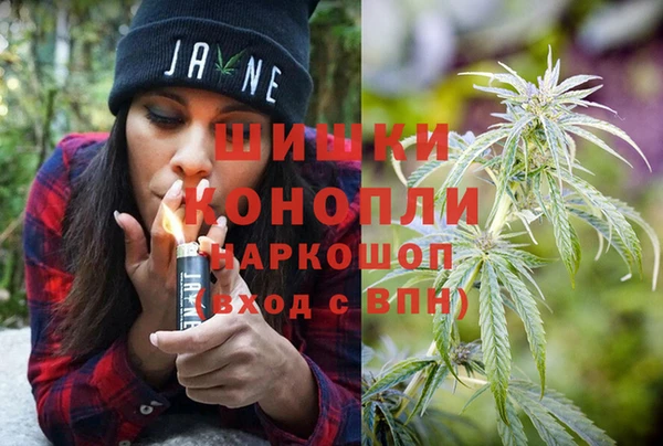 ПСИЛОЦИБИНОВЫЕ ГРИБЫ Абаза