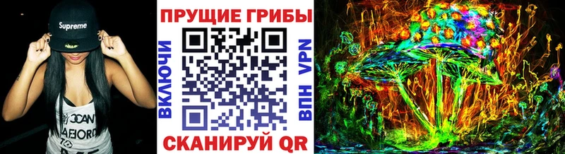 как найти закладки  Новая Усмань  Псилоцибиновые грибы Psilocybine cubensis 